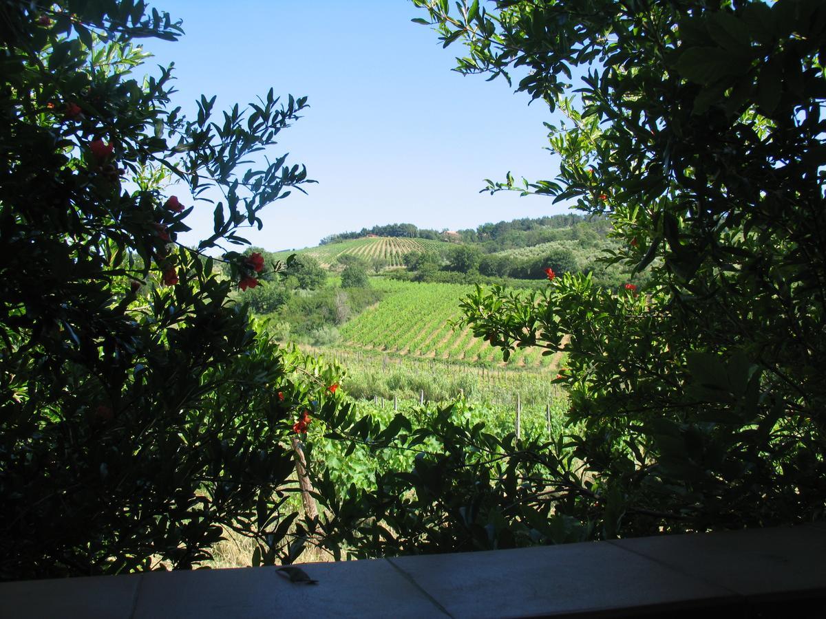 Piccolo Sole Villa Montescudaio Exterior photo